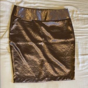 Charlotte Russe skirt